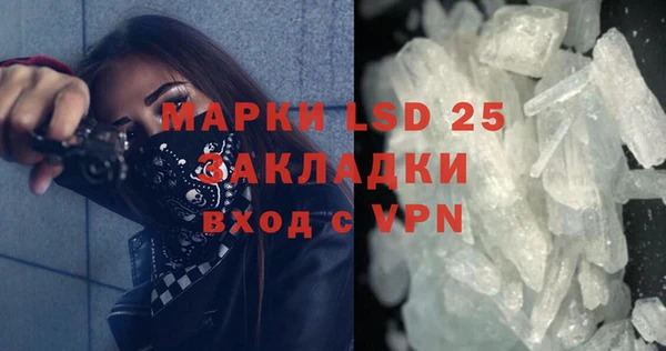 индика Каменногорск