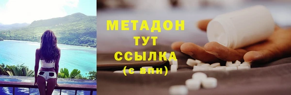 индика Каменногорск