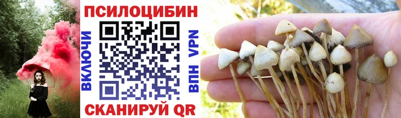 Псилоцибиновые грибы GOLDEN TEACHER  Катайск 