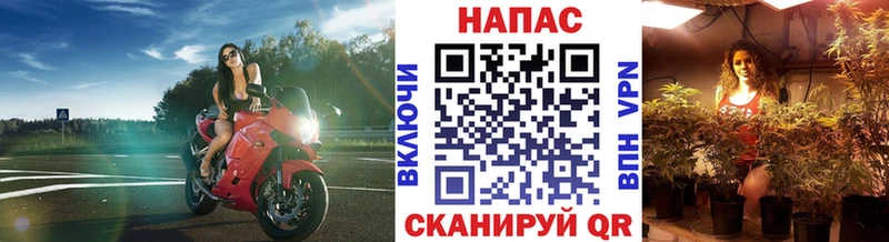 Бошки марихуана Amnesia Катайск